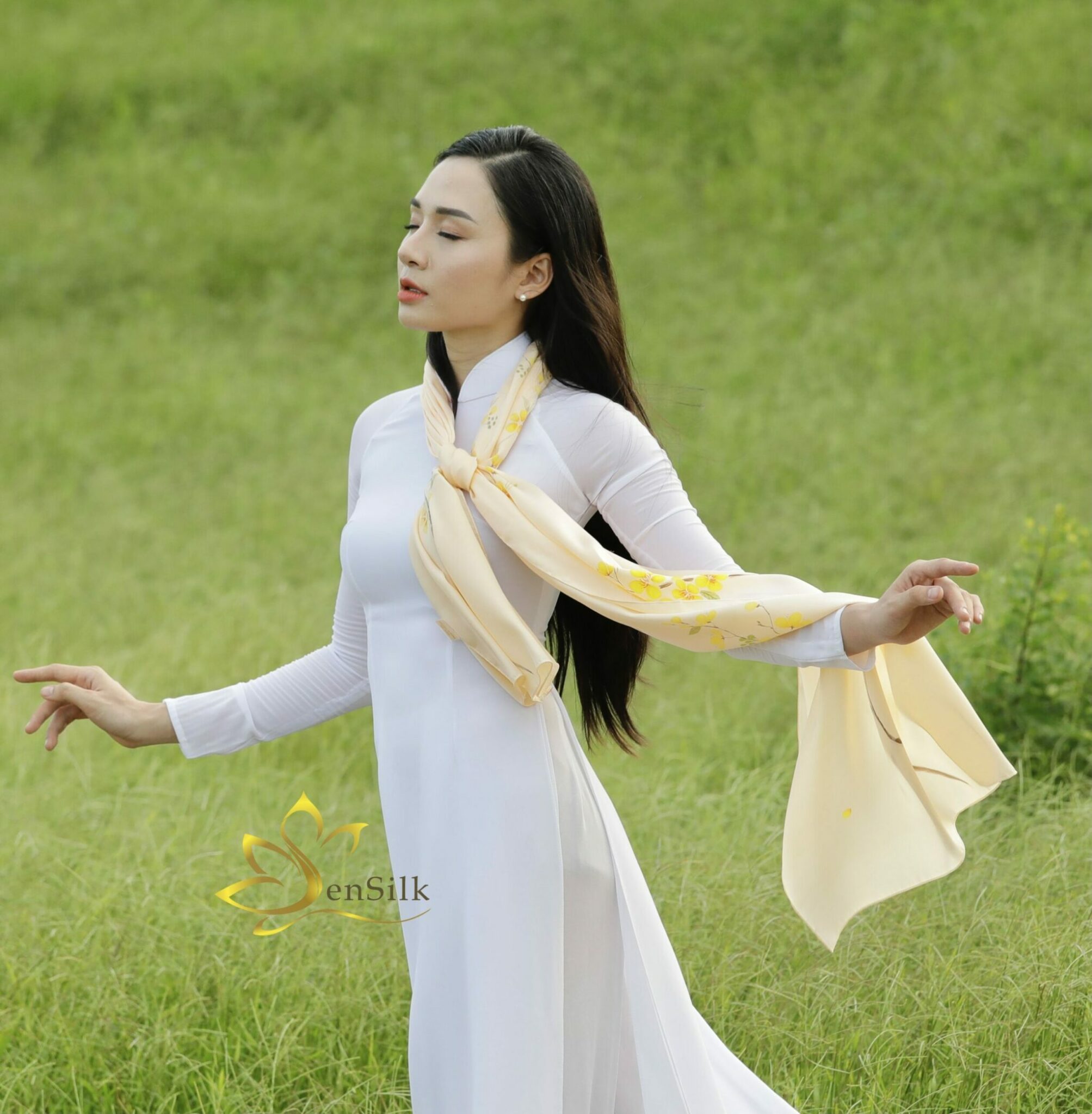 Art of Silk - Khăn Lụa Vẽ Tay Hoa Mai SenSilk Limited - Quà Tặng Đẳng Cấp