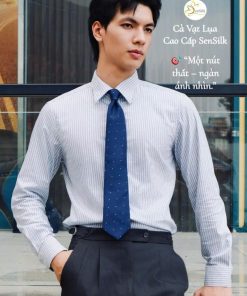 Cà Vạt Doanh Nhân SenSilk - Phụ Kiện Cho Quý Anh Bản Lĩnh CAVAT17