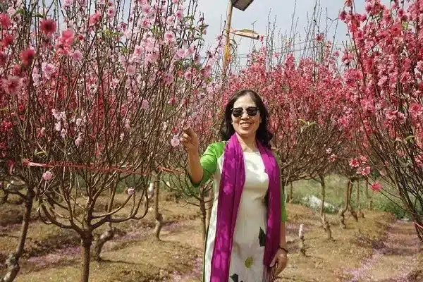 Khăn Lụa Tơ Tằm Cao Cấp | SenSilk