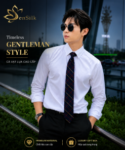 Cà vạt doanh nhân cao cấp SenSilk